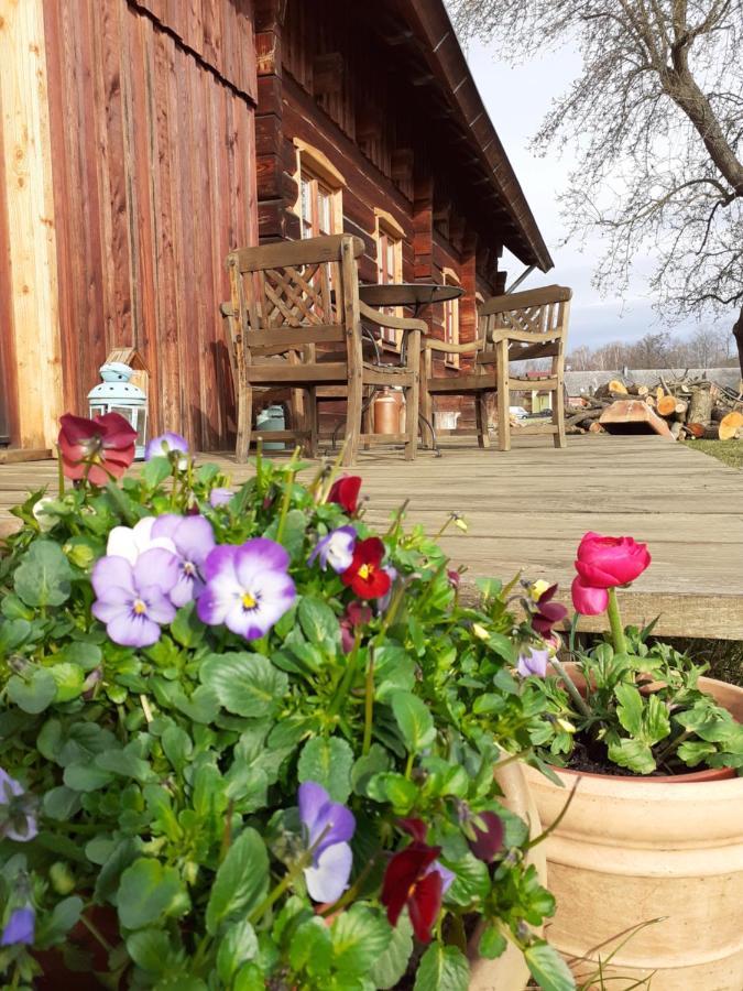 Liljas Haus Im Spreewald Apartment Burg  Bagian luar foto