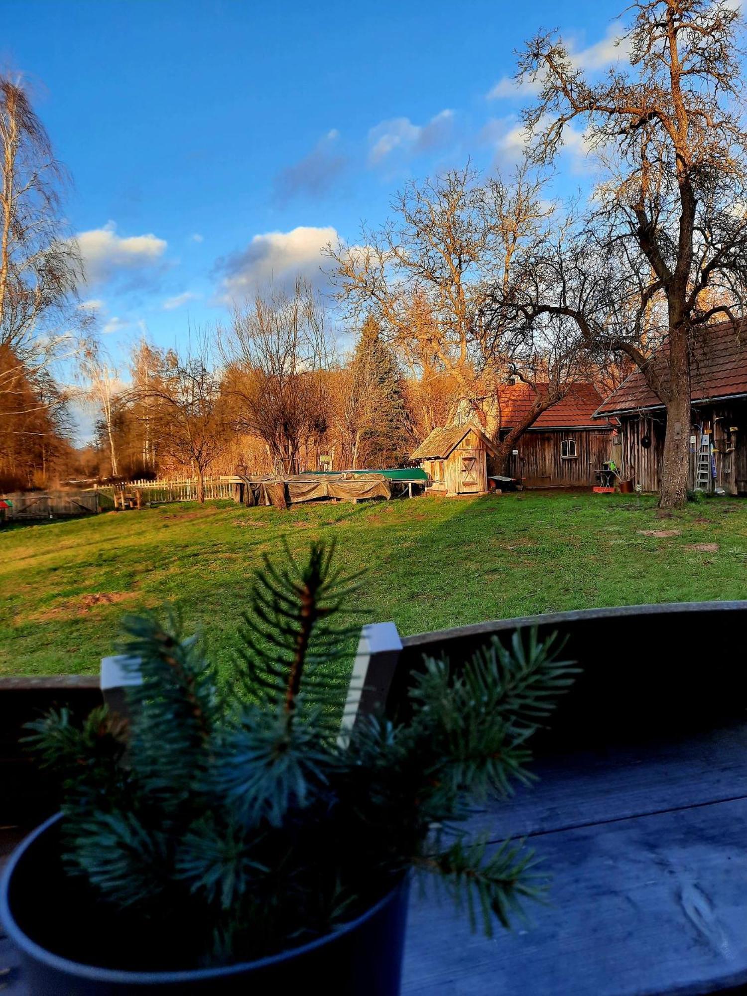 Liljas Haus Im Spreewald Apartment Burg  Bagian luar foto