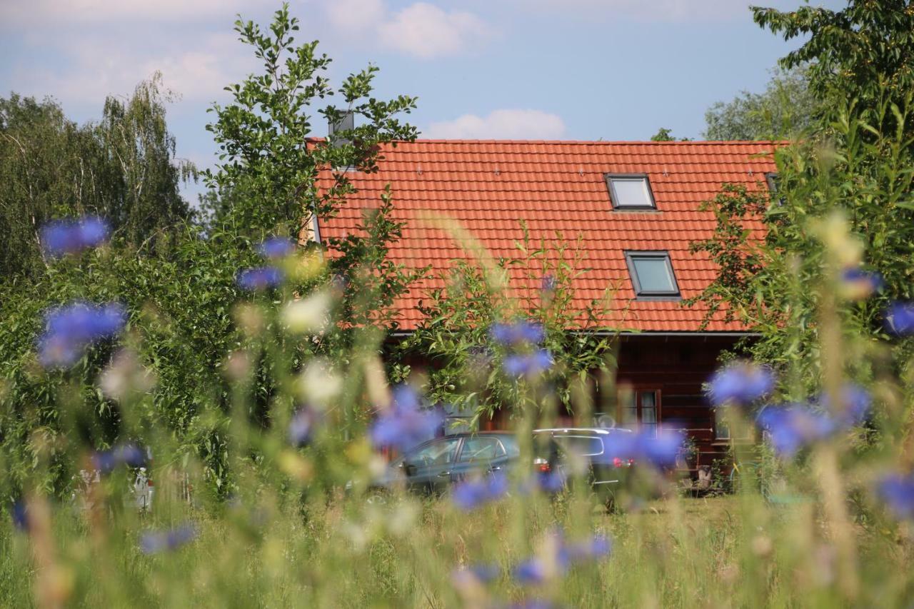 Liljas Haus Im Spreewald Apartment Burg  Bagian luar foto